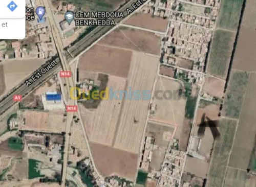 Location Terrain Agricole Ain defla Khemis miliana