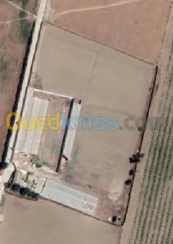 Location Terrain Agricole Ain defla Khemis miliana