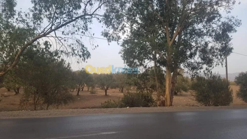 Vente Terrain Bouira Ath mansour taourirt
