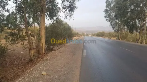 Vente Terrain Bouira Ath mansour taourirt