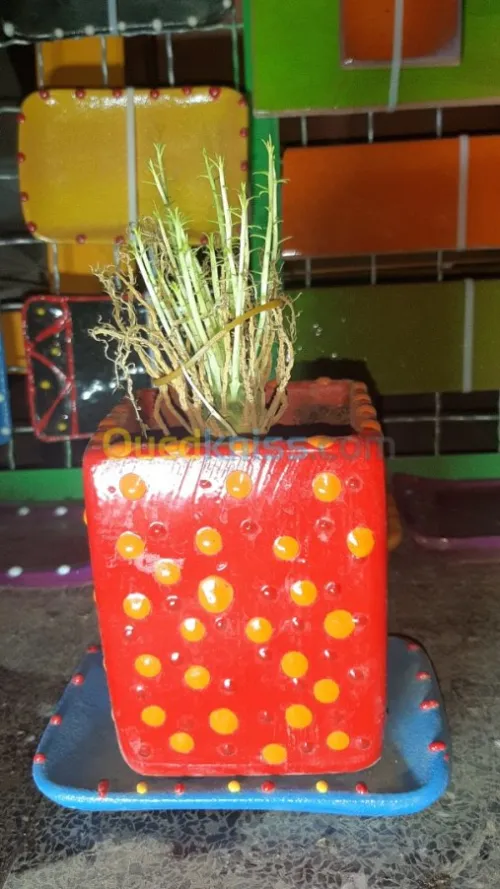 Vases Céramiques avec Plantes Naturell