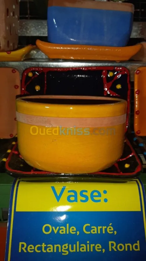 Vases Céramiques avec Plantes Naturell