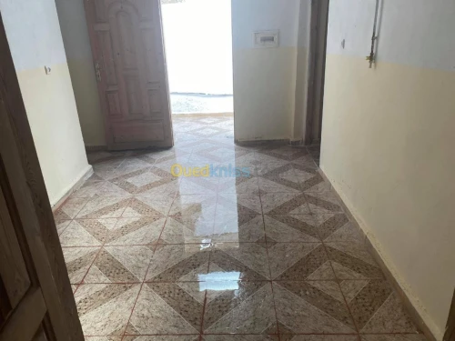 Location Carcasse Blida Bougara