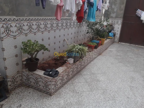 Vente Villa Aïn Témouchent Tamzoura