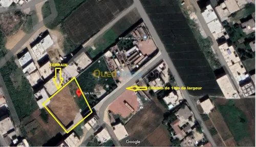 Location Terrain Boumerdes Ouled moussa