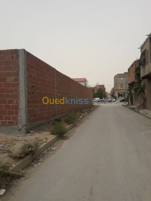 Vente Terrain Batna Batna