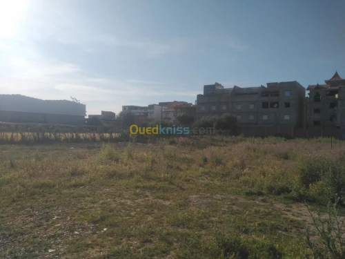 Vente Terrain Alger Ouled chebel