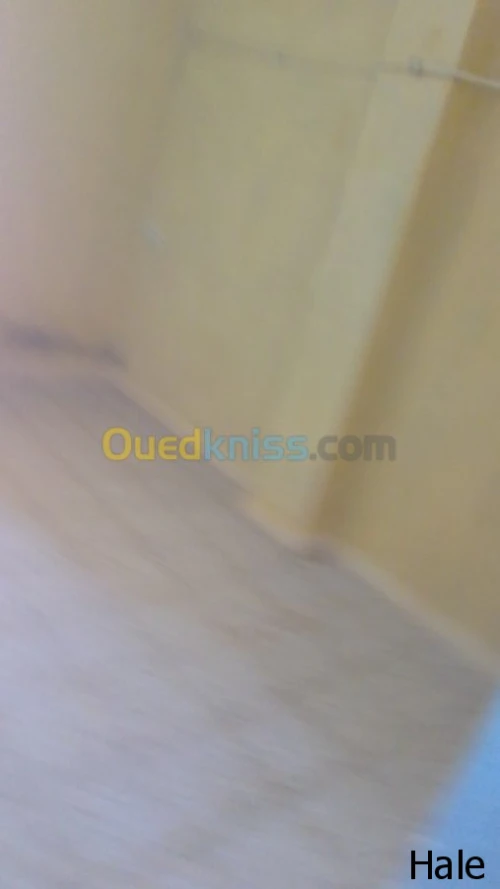 Location Appartement F2 Biskra Biskra