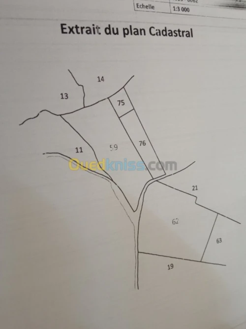 Vente Terrain Medea Medea