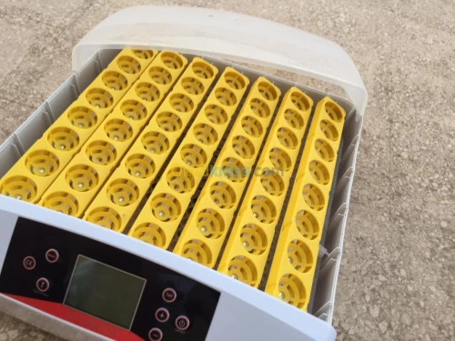 فقاسة كتاكيت  56 بيضة