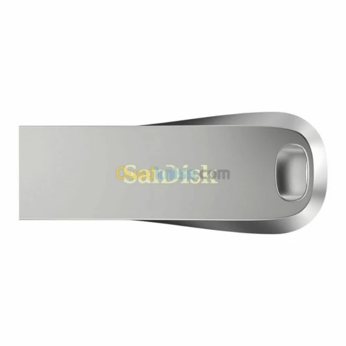 Sandisk Flash Disque 