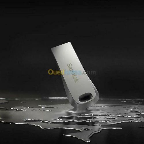 Sandisk Flash Disque 