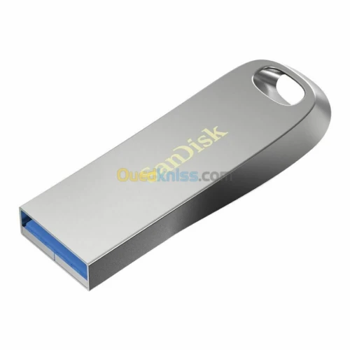 Sandisk Flash Disque 