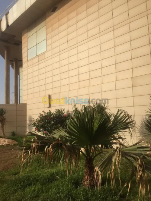 Vente Appartement Oran Oran