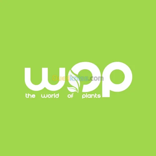 Graphic Design Logo,Carte Visite etc