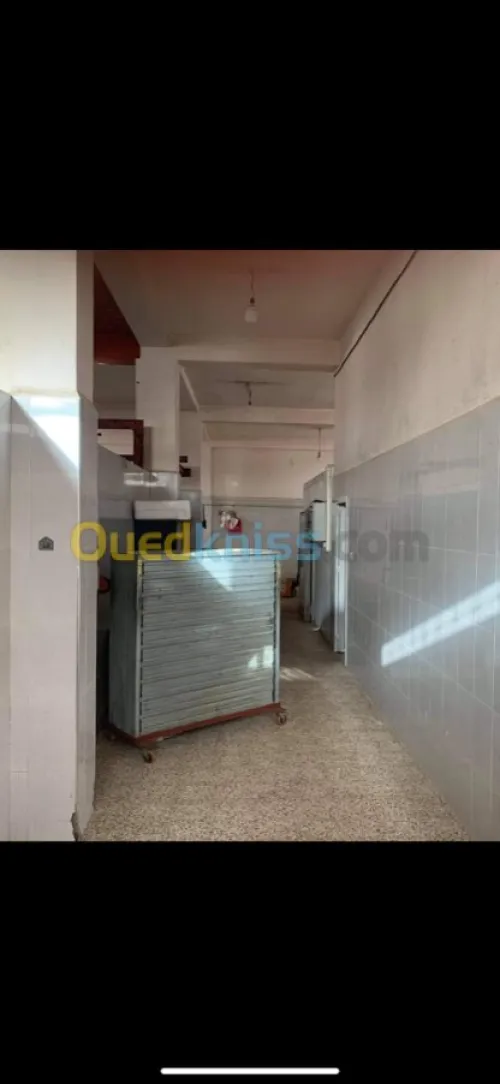 Vente Hangar Mila Oued seguen