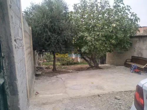 Vente Villa Constantine Hamma bouziane