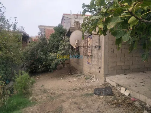 Vente Villa Constantine Hamma bouziane