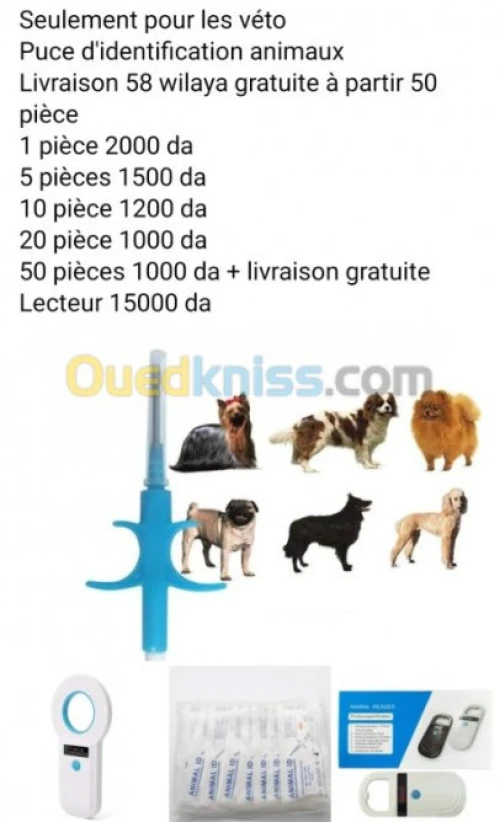 Puce identification animaux