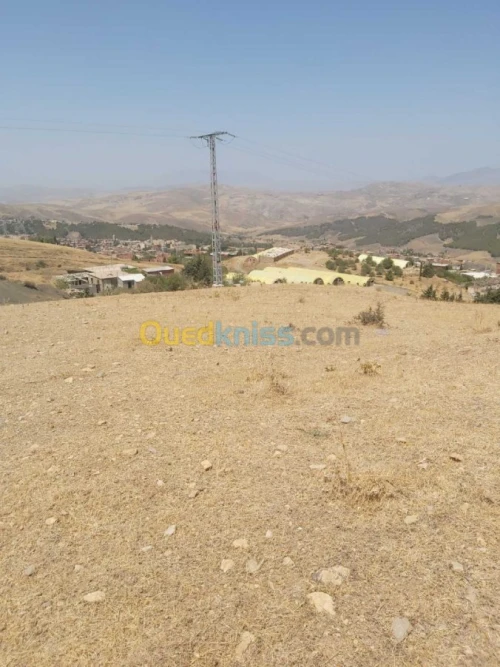 Vente Terrain Agricole Setif Djemila