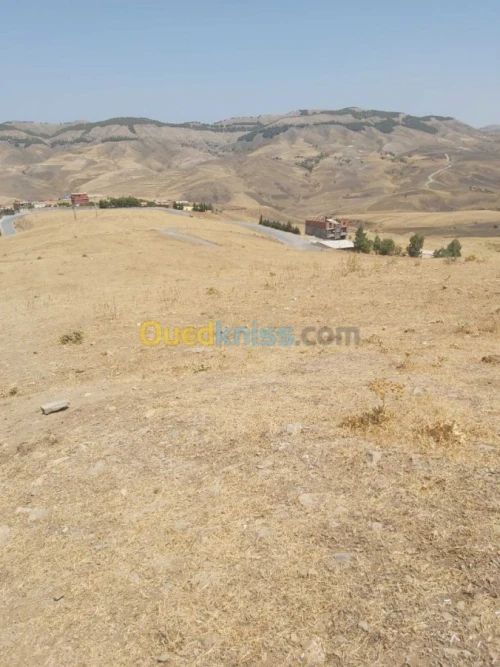 Vente Terrain Agricole Setif Djemila