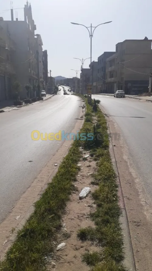 Vente Niveau De Villa F6 Souk ahras Souk ahras