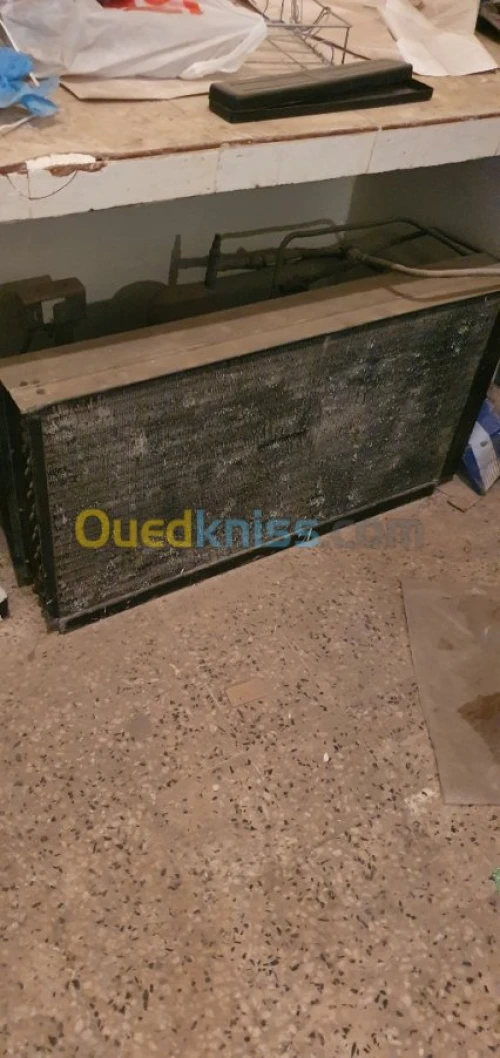 Chambre froide 100 m3