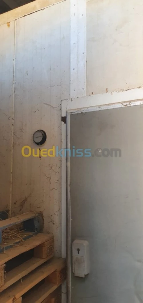 Chambre froide 100 m3