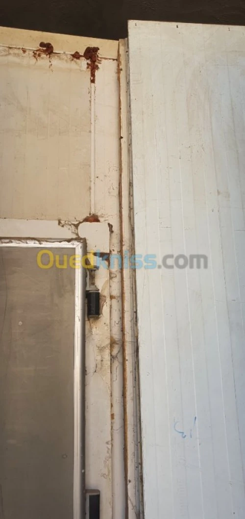 Chambre froide 100 m3