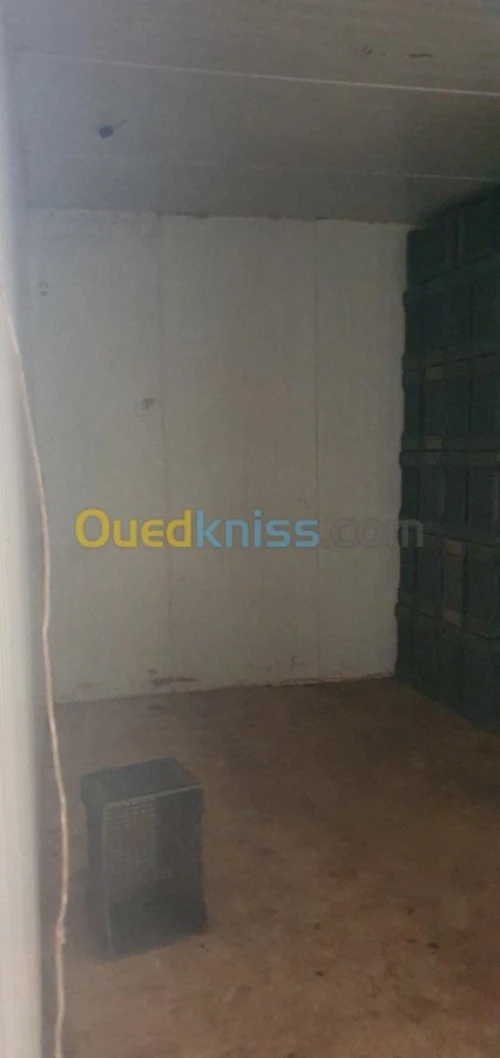 Chambre froide 100 m3