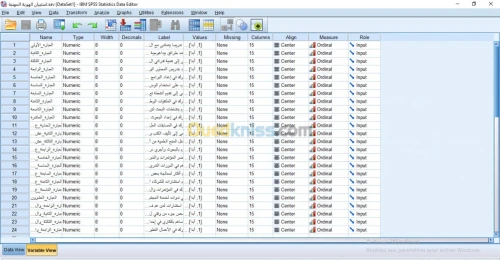 خدمات Excel & Spss & Word