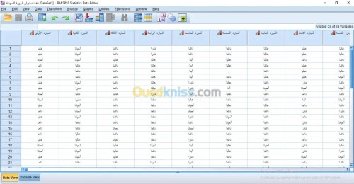 خدمات Excel & Spss & Word
