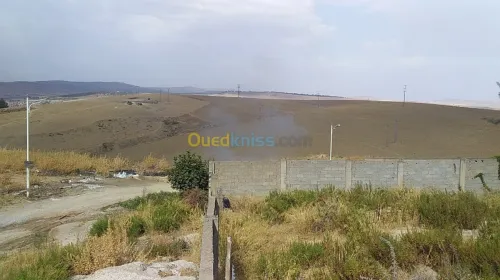 Vente Terrain Constantine Constantine