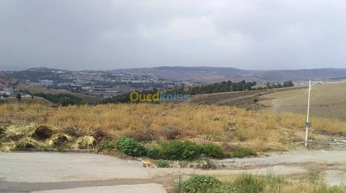 Vente Terrain Constantine Constantine