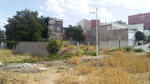 Vente Terrain Constantine Constantine