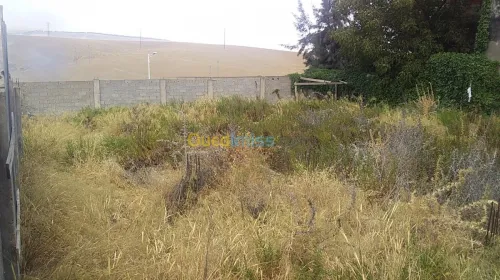Vente Terrain Constantine Constantine