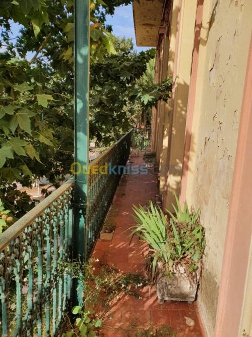 Vente Appartement F8 Tlemcen Tlemcen