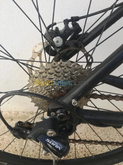 Vélo Gravel SARACEN
