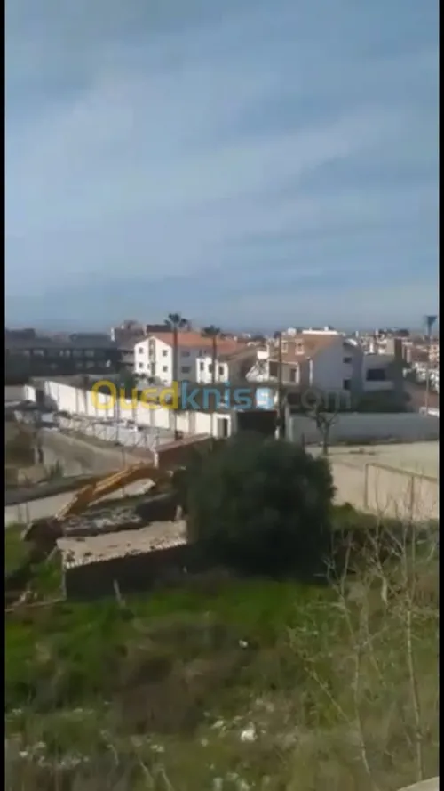 Vente Villa Alger Dely brahim