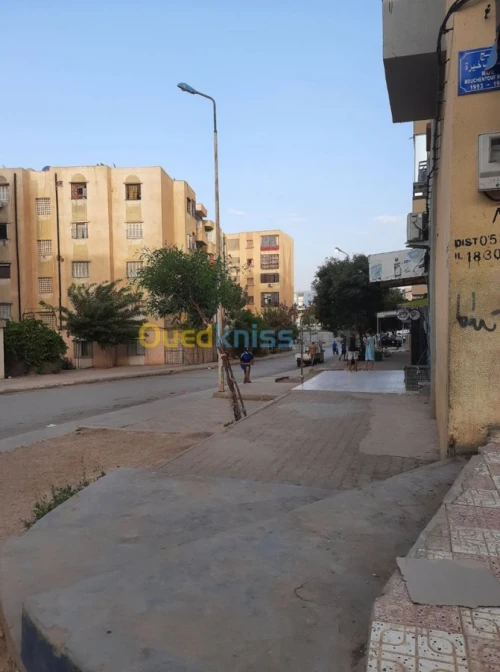 Vente Local Sidi bel abbes Sidi bel abbes