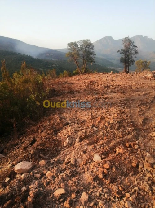 Vente Terrain Béjaïa Ifenain ilmathen