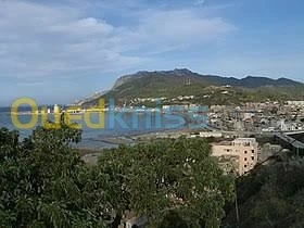 Vente Appartement F4 Chlef Tenes