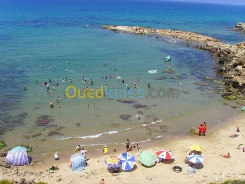 Vente Appartement F4 Chlef Tenes