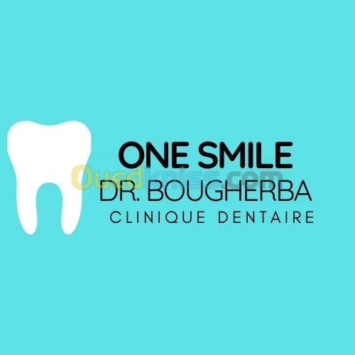 Professional logo designer 