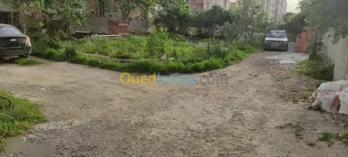 Vente Terrain Alger Reghaia