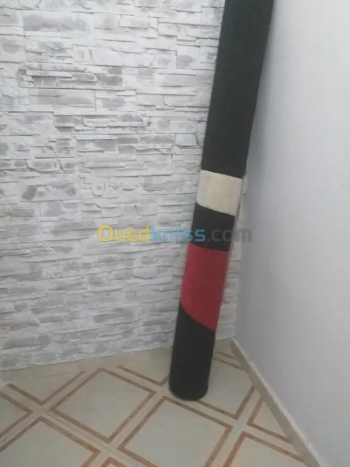 Tapis pour salon 