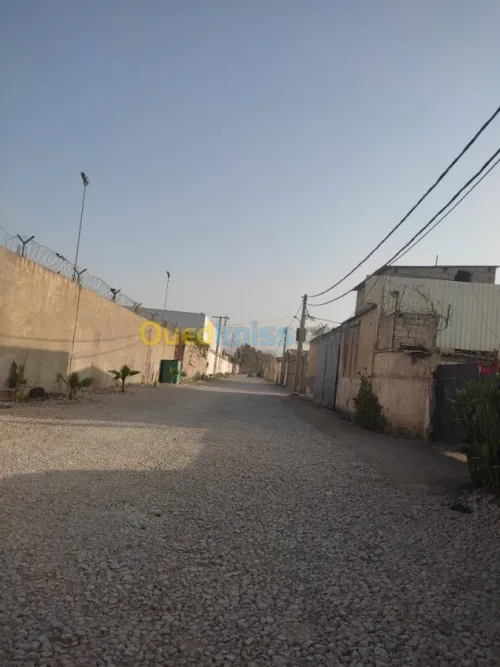 Location Local Blida Meftah