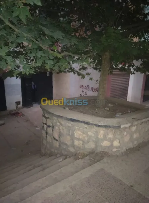 Location Local Tiaret Tiaret