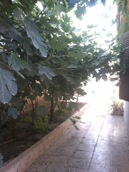 Vente Appartement Niveau de villa Oran Ain el bia