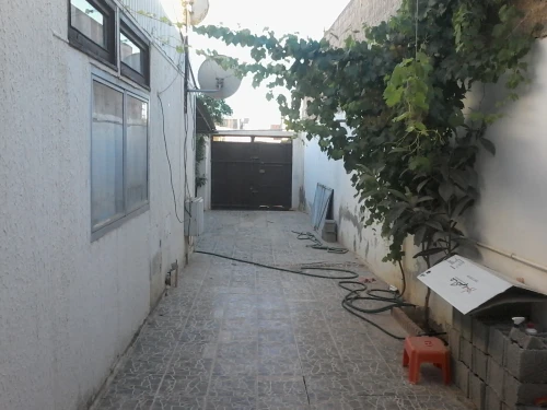Vente Appartement Niveau de villa Oran Ain el bia